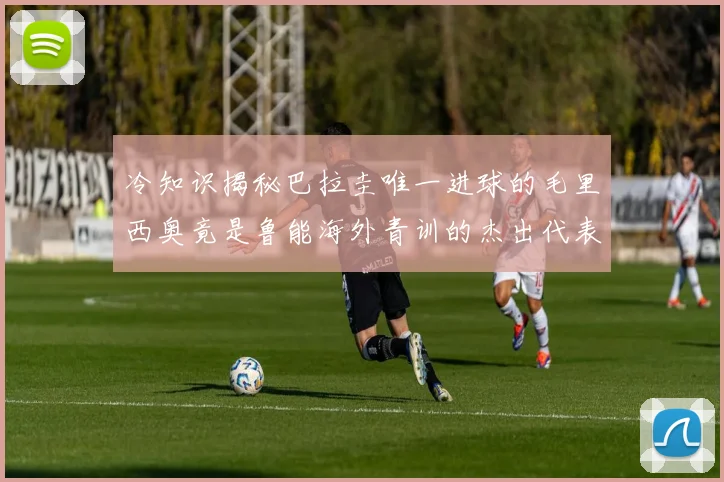 冷知识揭秘巴拉圭唯一进球的毛里西奥竟是鲁能海外青训的杰出代表